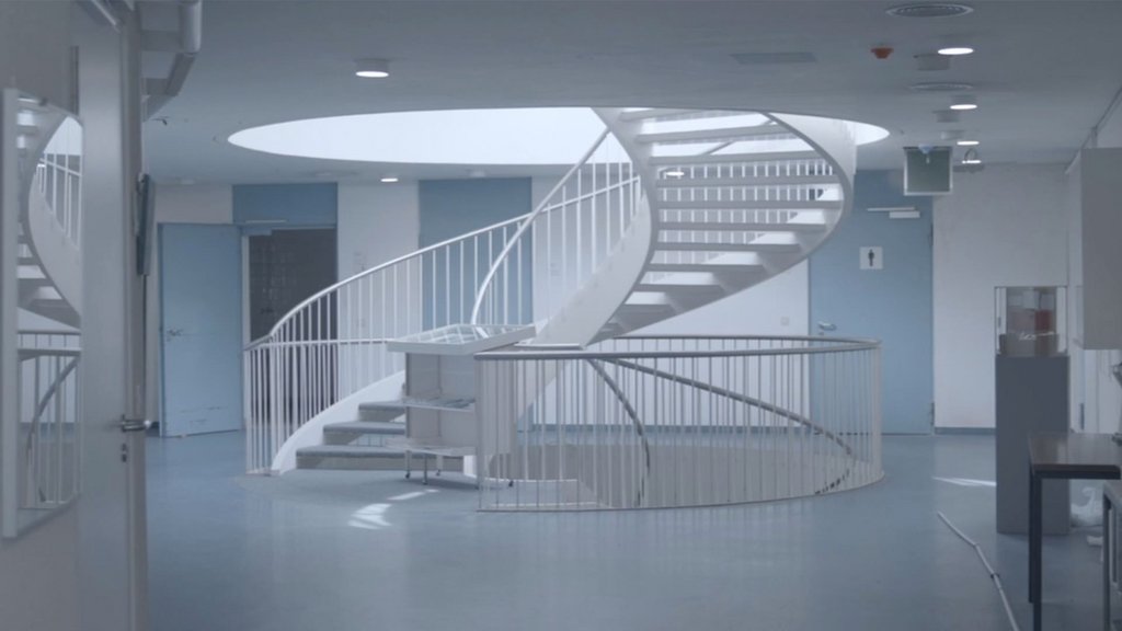 Nathalie Koger, film still from “The Animals´ Video Conference, Revisited”, 2024 @Koger, Bildrecht, Vienna 2024.