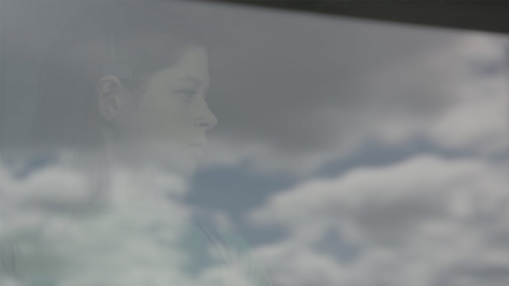 Nathalie Koger, film still from “The Animals´ Video Conference, Revisited”, 2024 @Koger, Bildrecht, Vienna 2024.