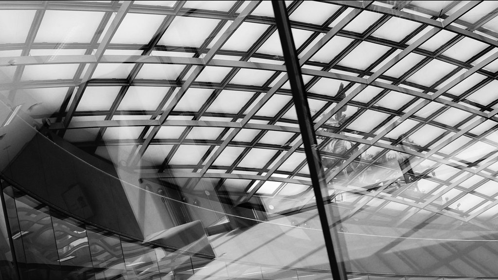 Nathalie Koger, film still from “In Parliament”, 2025 @Bildrecht, Vienna 2025. 