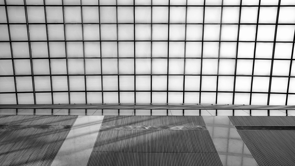 Nathalie Koger, film still from “In Parliament”, 2025 @Bildrecht, Vienna 2025. 