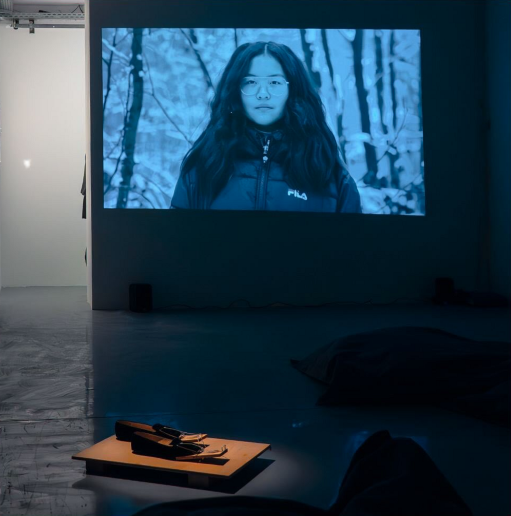 Nathalie Koger, “The Animals´ Video Conference, Revisited”, 2024, exhibition view, Kunstraum am Schauplatz. Photo: youngcuratorsclub @YCC