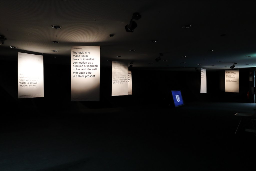 Nathalie Koger, “Indizien”, 2022, exhibition view, Kunsthaus Graz. Photo: Lisa Truttmann @Bildrecht, Vienna 2025